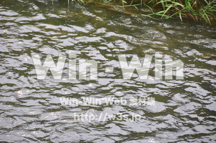 一乗谷朝倉氏遺跡の写真素材 W-002259