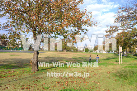 富士見公園の写真素材 W-002671