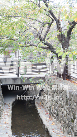 二ヶ領用水の写真素材 W-002769