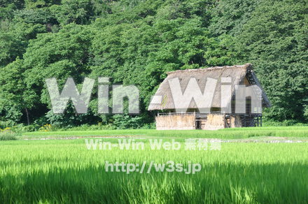 白川郷の写真素材 W-002041