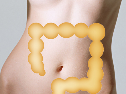 すけちょう D-002695 のチラシ