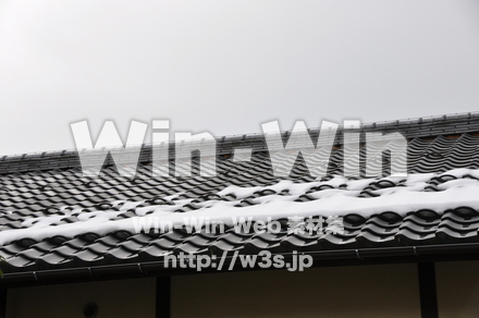 雪景色の写真素材 W-002628