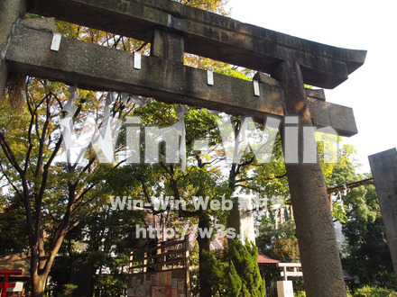 稲毛神社の写真素材 W-003516