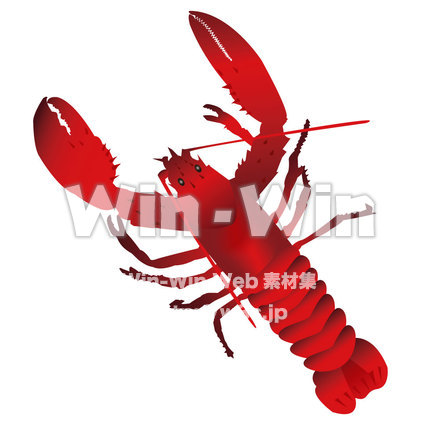 ザリガニのCG・イラスト素材 W-002935