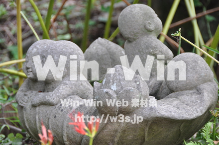 浄慶寺08の写真素材 W-002502