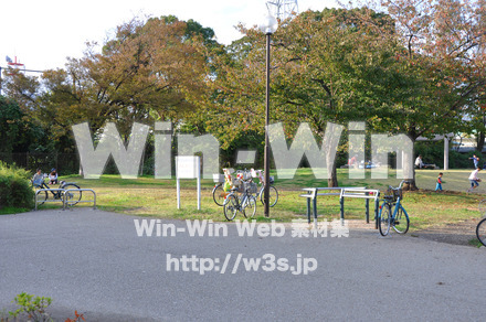 富士見公園の写真素材 W-002668