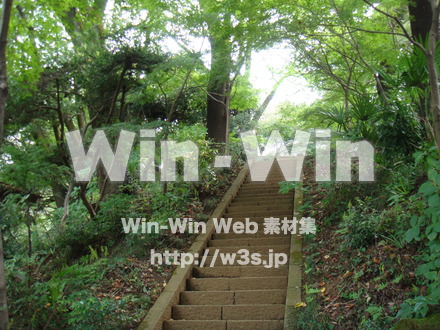 浄慶寺18の写真素材 W-002512