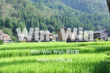 白川郷の写真素材 W-002035