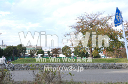 富士見公園の写真素材 W-002666