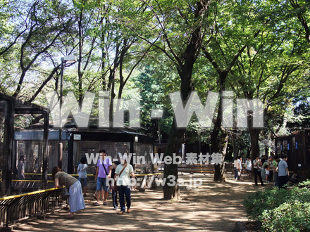 夢見ヶ崎動物公園の写真素材 W-002890