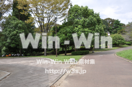 王禅寺ふるさと公園02の写真素材 W-002774