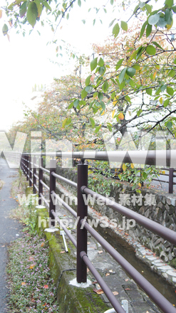 二ヶ領用水の写真素材 W-002785