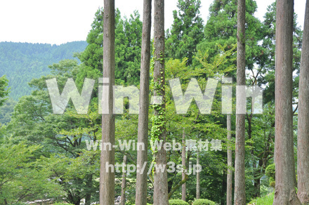 一乗谷朝倉氏遺跡の写真素材 W-002263