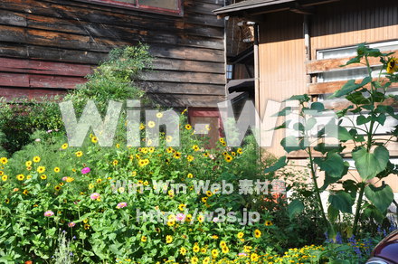 白川郷の写真素材 W-002014