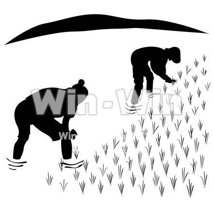 田植えのシルエット素材 W-003382