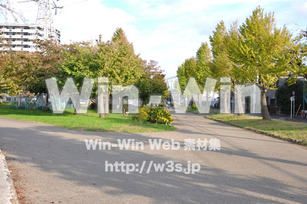 富士見公園の写真素材 W-002672