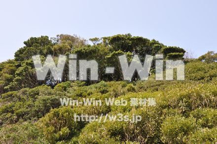 雄島の写真素材 W-002414