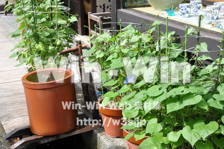 飛騨高山の写真素材 W-002341