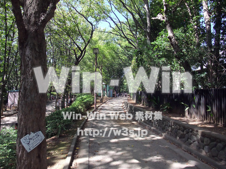 夢見ヶ崎動物公園の写真素材 W-002876