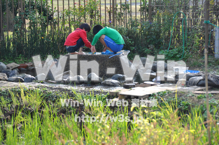 はぐくみの里の写真素材 W-002697