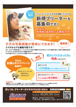 ブリーダーズナビ 紹介チラシ - A4版 D-002687 のチラシ