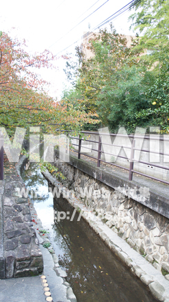 二ヶ領用水の写真素材 W-002802