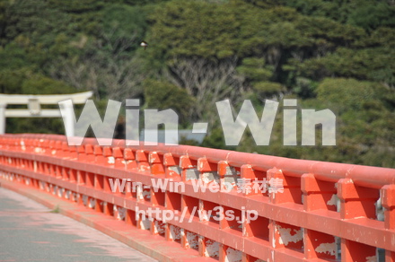 雄島の写真素材 W-002404