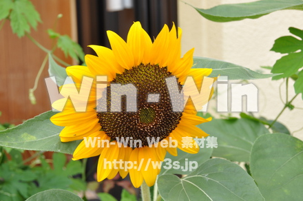 飛騨高山の写真素材 W-002330