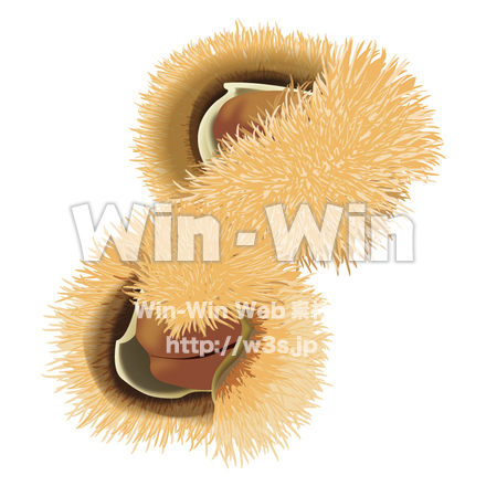 栗のCG・イラスト素材 W-003637