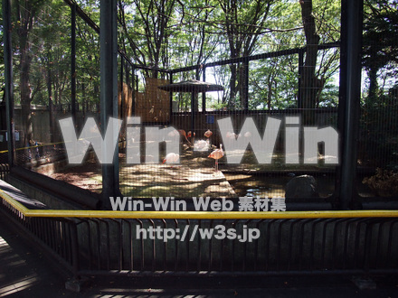 夢見ヶ崎動物公園の写真素材 W-002910