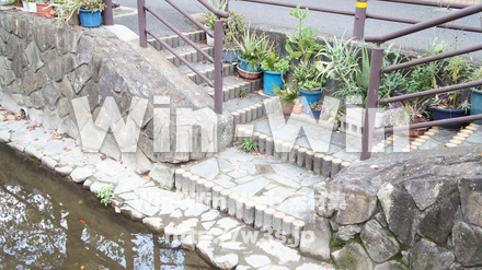 二ヶ領用水の写真素材 W-002778