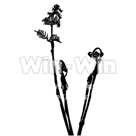 わらびのシルエット素材 W-002253