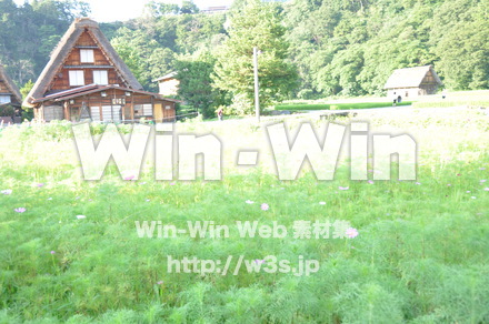 白川郷の写真素材 W-002022