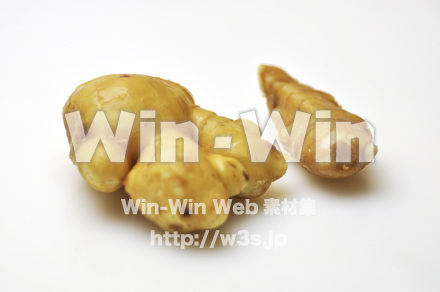 根ショウガ　４の写真素材 W-002231