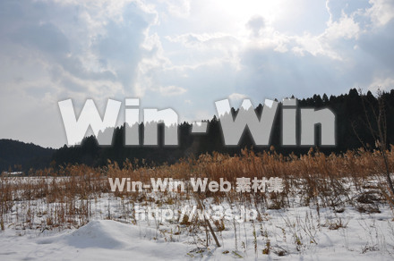 雪景色の写真素材 W-002602