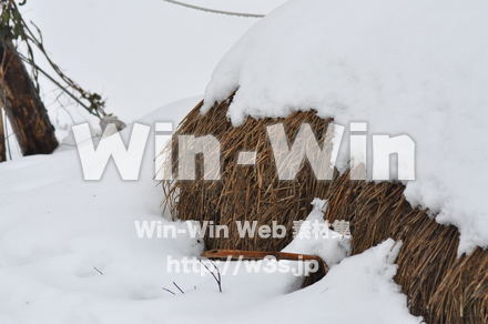 雪景色の写真素材 W-002597