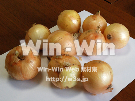 玉葱　３の写真素材 W-002204