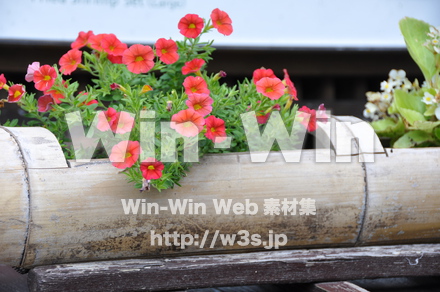 飛騨高山の写真素材 W-002346