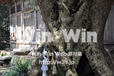 雄島の写真素材 W-002401