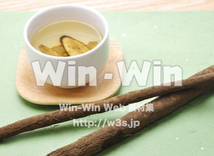 ごぼう　９の写真素材 W-002140