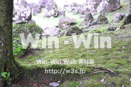 一乗谷朝倉氏遺跡の写真素材 W-002272