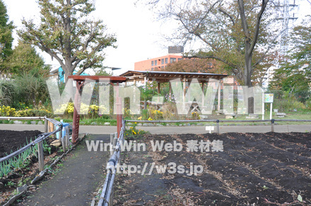 はぐくみの里の写真素材 W-002693