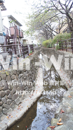 二ヶ領用水の写真素材 W-002767