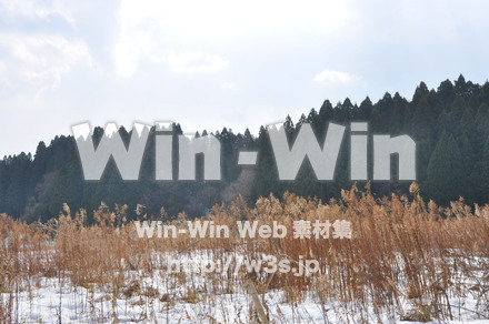 雪景色の写真素材 W-002603