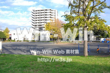 富士見公園の写真素材 W-002680