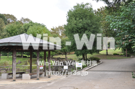 王禅寺ふるさと公園05の写真素材 W-002782