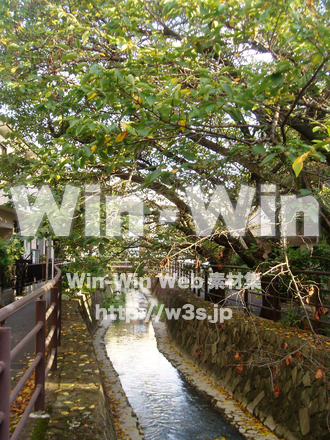 二カ領用水の写真素材 W-002823