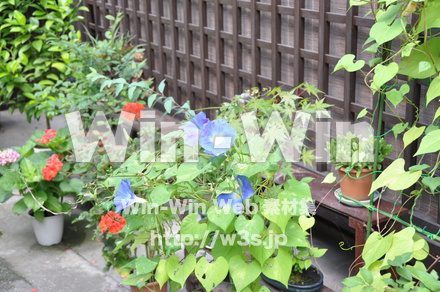 飛騨高山の写真素材 W-002356