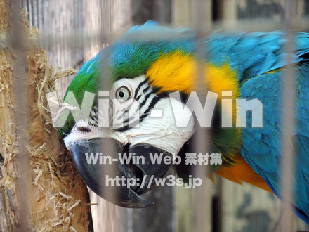 夢見ヶ崎動物公園の写真素材 W-002887