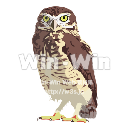 フクロウのCG・イラスト素材 W-003627